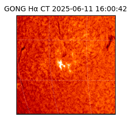 gong - 2025-06-11T16:00:42