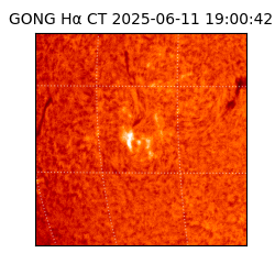 gong - 2025-06-11T19:00:42