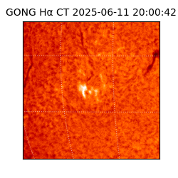 gong - 2025-06-11T20:00:42