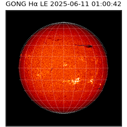 gong - 2025-06-11T01:00:42