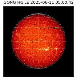 gong - 2025-06-11T05:00:42