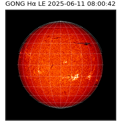 gong - 2025-06-11T08:00:42