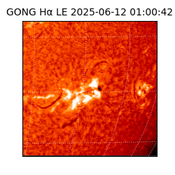 gong - 2025-06-12T01:00:42