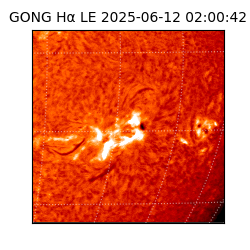 gong - 2025-06-12T02:00:42