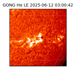 gong - 2025-06-12T03:00:42