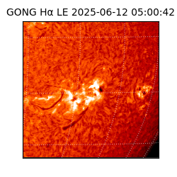 gong - 2025-06-12T05:00:42