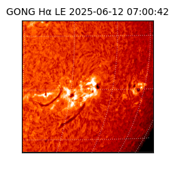 gong - 2025-06-12T07:00:42