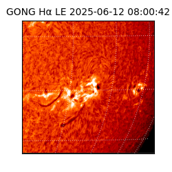 gong - 2025-06-12T08:00:42