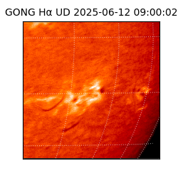 gong - 2025-06-12T09:00:02