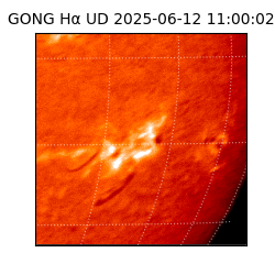 gong - 2025-06-12T11:00:02