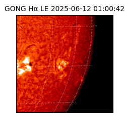 gong - 2025-06-12T01:00:42