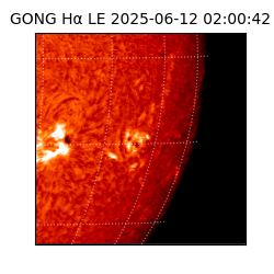 gong - 2025-06-12T02:00:42