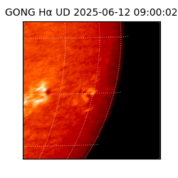 gong - 2025-06-12T09:00:02