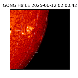 gong - 2025-06-12T02:00:42