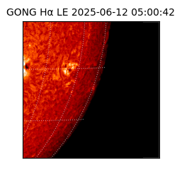gong - 2025-06-12T05:00:42