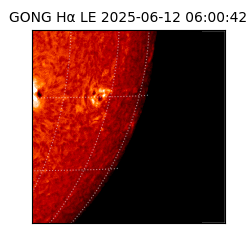 gong - 2025-06-12T06:00:42