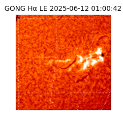 gong - 2025-06-12T01:00:42