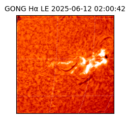 gong - 2025-06-12T02:00:42