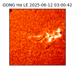 gong - 2025-06-12T03:00:42