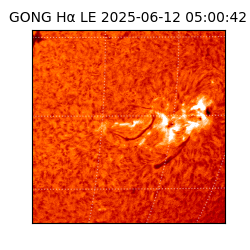 gong - 2025-06-12T05:00:42