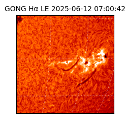 gong - 2025-06-12T07:00:42