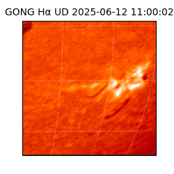 gong - 2025-06-12T11:00:02