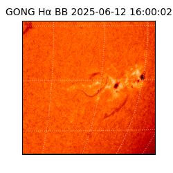gong - 2025-06-12T16:00:02
