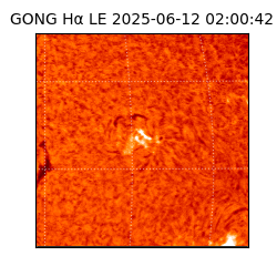 gong - 2025-06-12T02:00:42