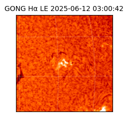 gong - 2025-06-12T03:00:42