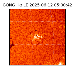 gong - 2025-06-12T05:00:42