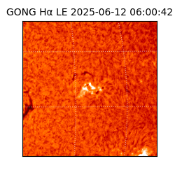 gong - 2025-06-12T06:00:42