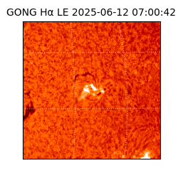 gong - 2025-06-12T07:00:42