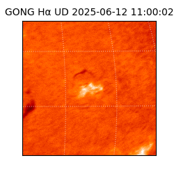 gong - 2025-06-12T11:00:02