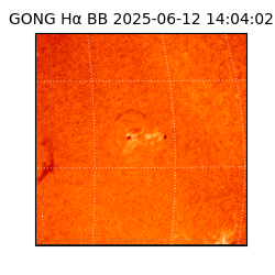 gong - 2025-06-12T14:04:02