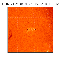 gong - 2025-06-12T18:00:02