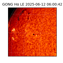 gong - 2025-06-12T06:00:42