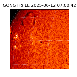 gong - 2025-06-12T07:00:42