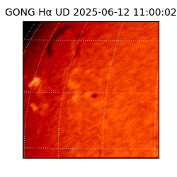 gong - 2025-06-12T11:00:02