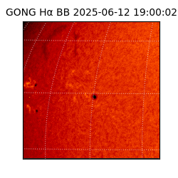 gong - 2025-06-12T19:00:02