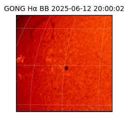 gong - 2025-06-12T20:00:02