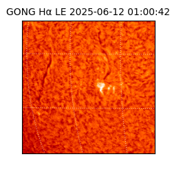 gong - 2025-06-12T01:00:42