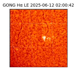 gong - 2025-06-12T02:00:42