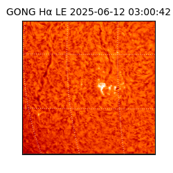 gong - 2025-06-12T03:00:42