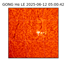 gong - 2025-06-12T05:00:42