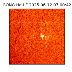 gong - 2025-06-12T07:00:42