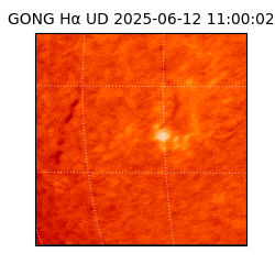 gong - 2025-06-12T11:00:02