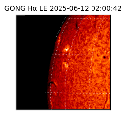 gong - 2025-06-12T02:00:42