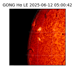gong - 2025-06-12T05:00:42