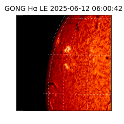 gong - 2025-06-12T06:00:42