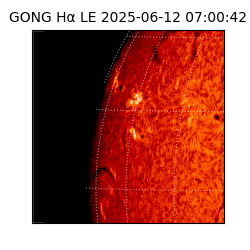 gong - 2025-06-12T07:00:42